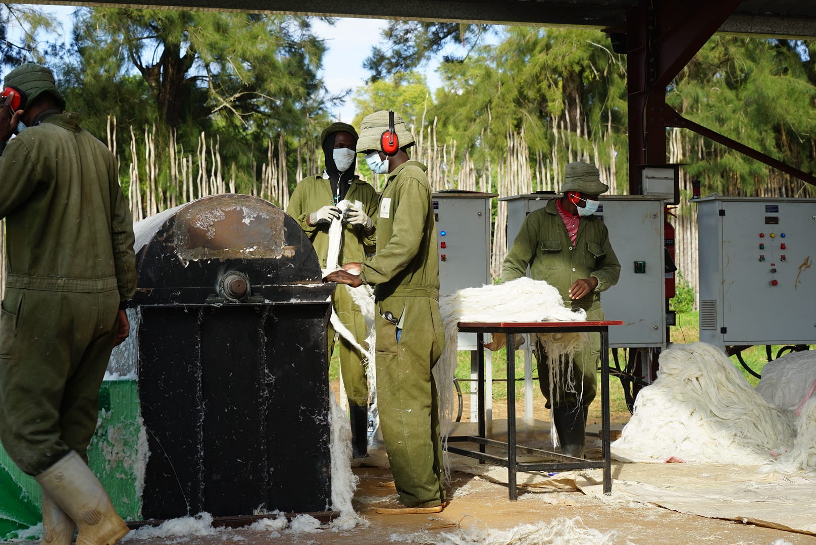 Close-up of decortication machinery in operation