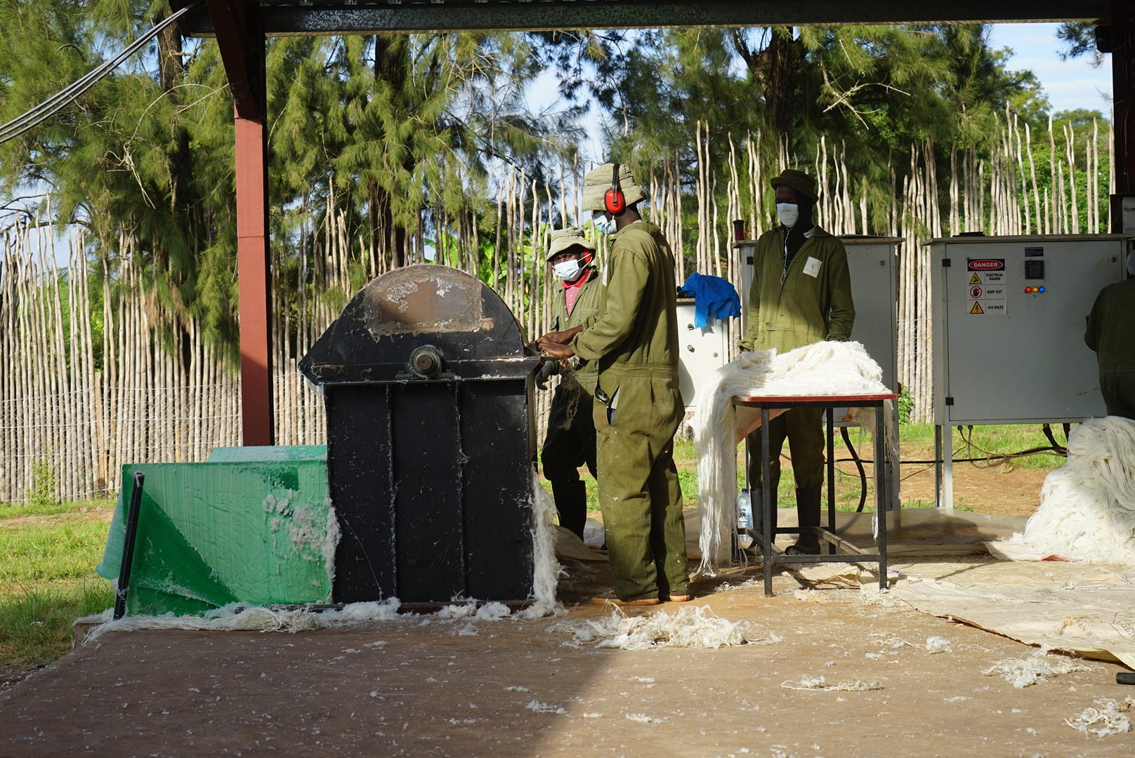 Workers processing brushed pineapple fibre at the facility