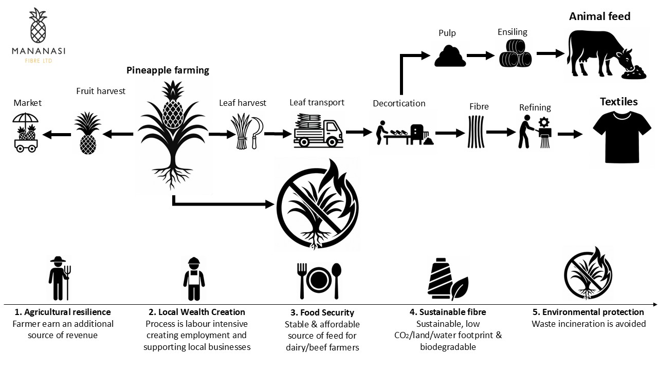 Mananasi Fibre process diagram: leaf harvest and decortication branch to refined fibre for textiles and pulp for ensiling as animal feed, with benefits for farmers, employment, food security, and environmental protection