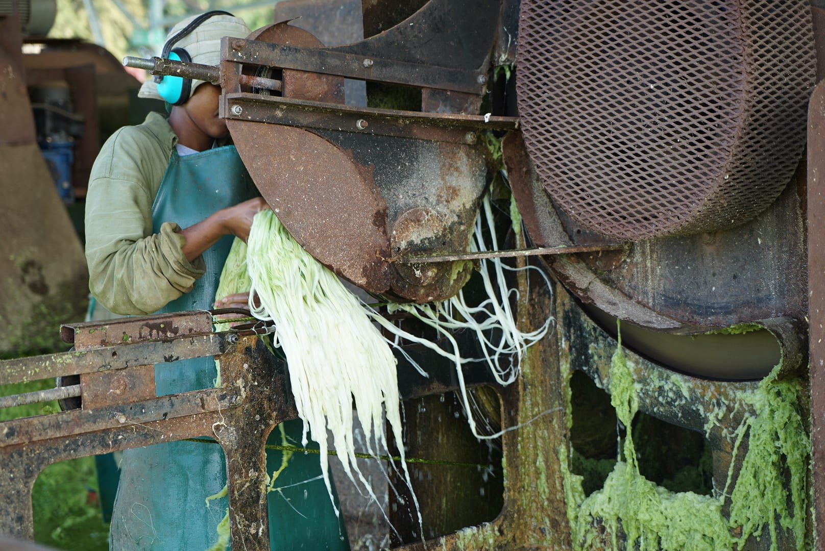 Project team at the fibre processing facility